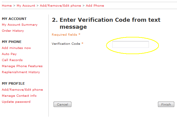 Enter Page Plus Verification Code